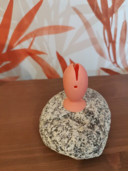 Poisson mignon saumon – Image 2